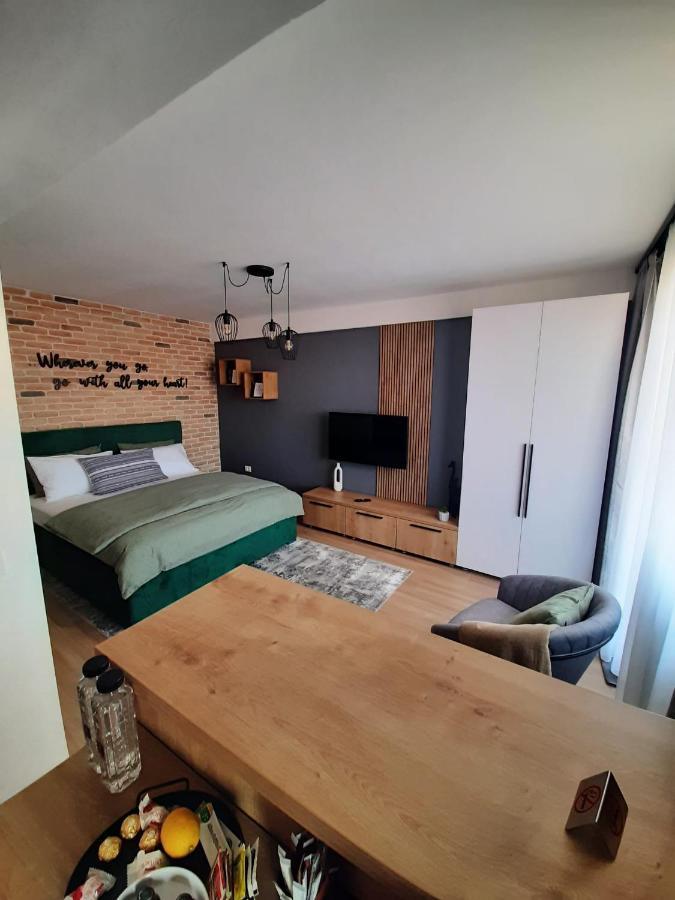 City Center View Studio Apartment 1 Timisoara Exterior photo